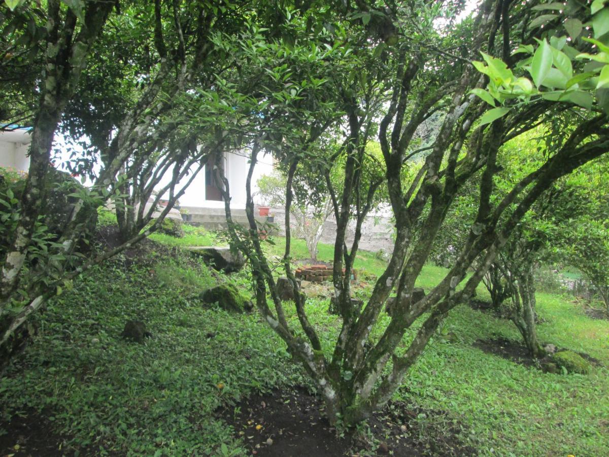 Casa Martin En Banos De Agua Santa Villa Exterior foto